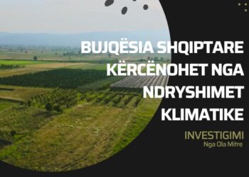 INVESTIGIMI / Bujqësia shqiptare kërcënohet nga ndryshimet klimatike